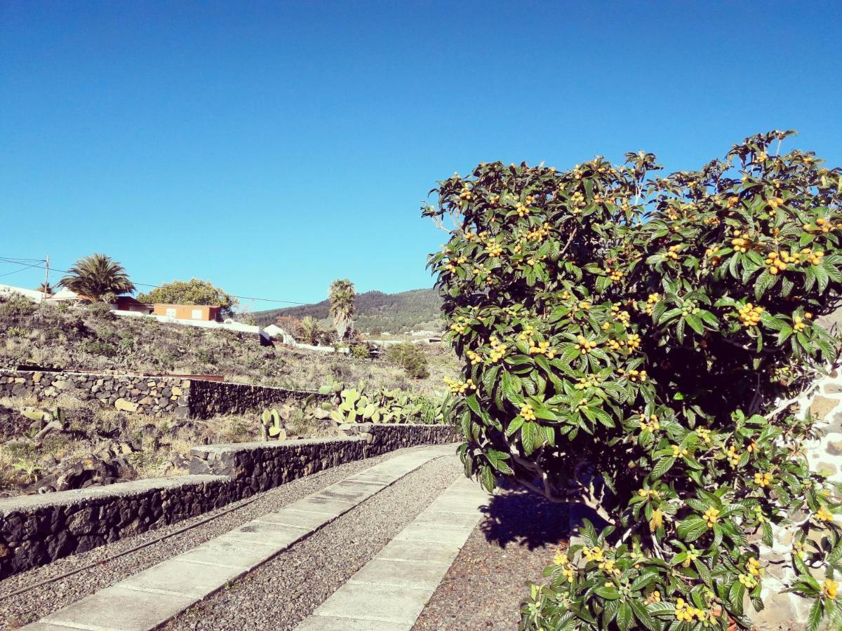 Apartment Sea And Mountain View Los Llanos De Aridane